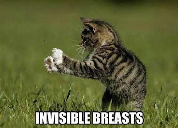 invisible-breasts.jpg