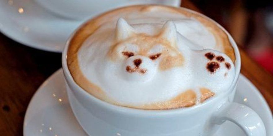 fast-zu-schade-zum-trinken-3d-latte-art-aus-....jpg