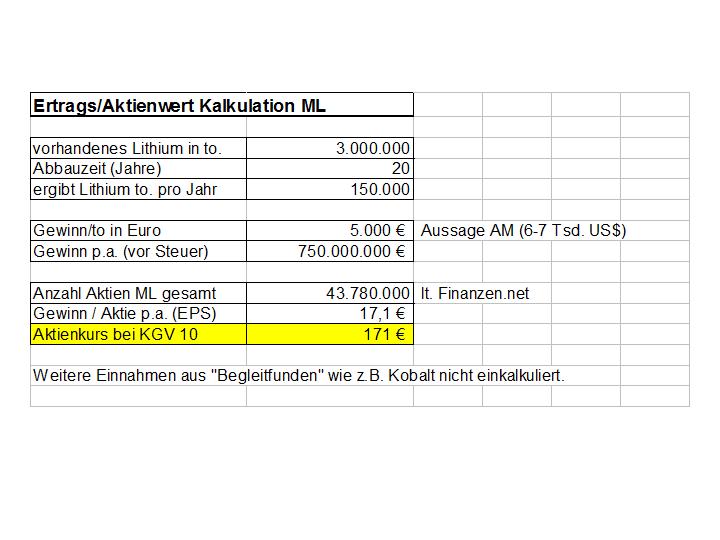 aktienwert_ml_kalkulation.jpg