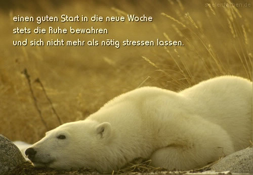 guten-wochenstart_baer.jpg