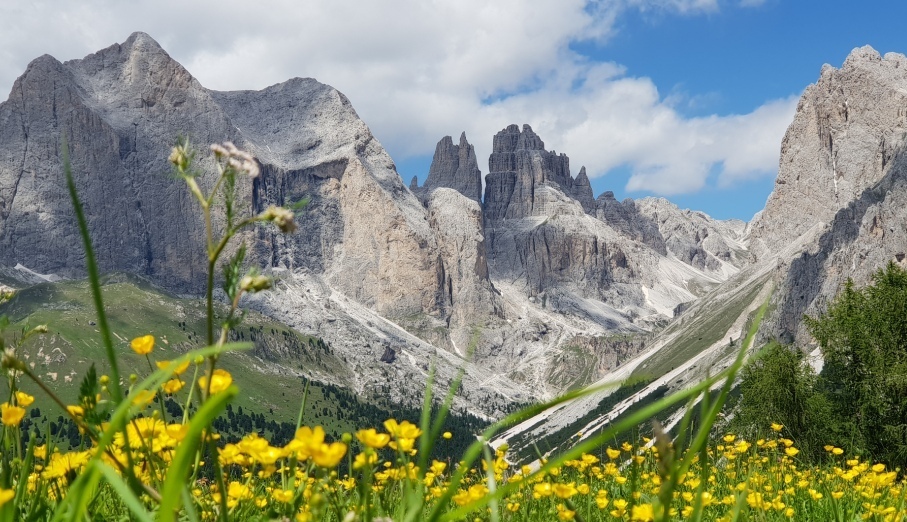 blick_zum_rosengarten_ostseite_zu_den_torri_d....jpg