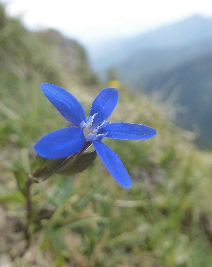 p1270243_-_kopie.jpg