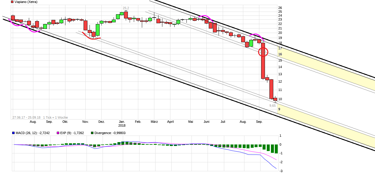 chart_3years_vapiano.png