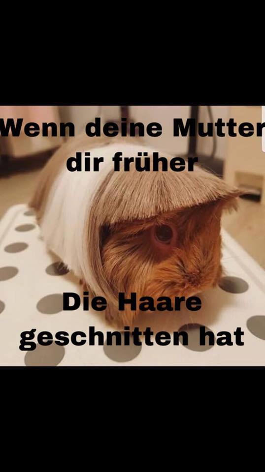 haare.jpg