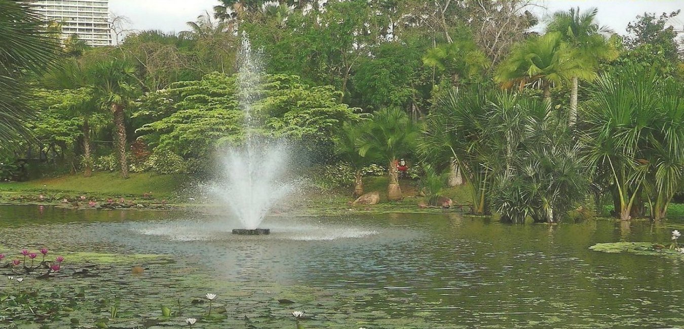 singapore_botanic_gardens2.jpg