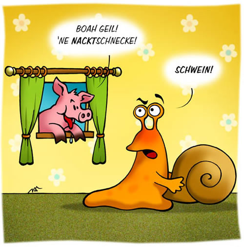 nacktschnecke.jpg