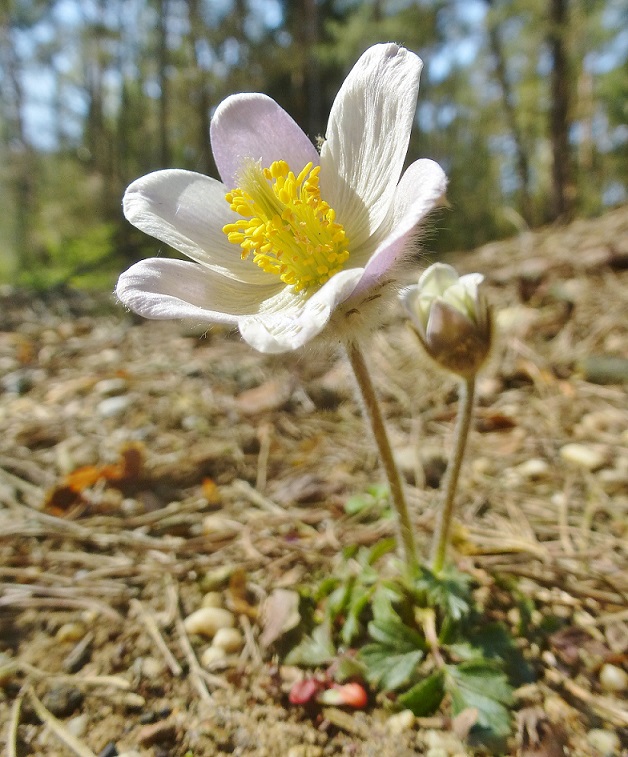p1280253.jpg