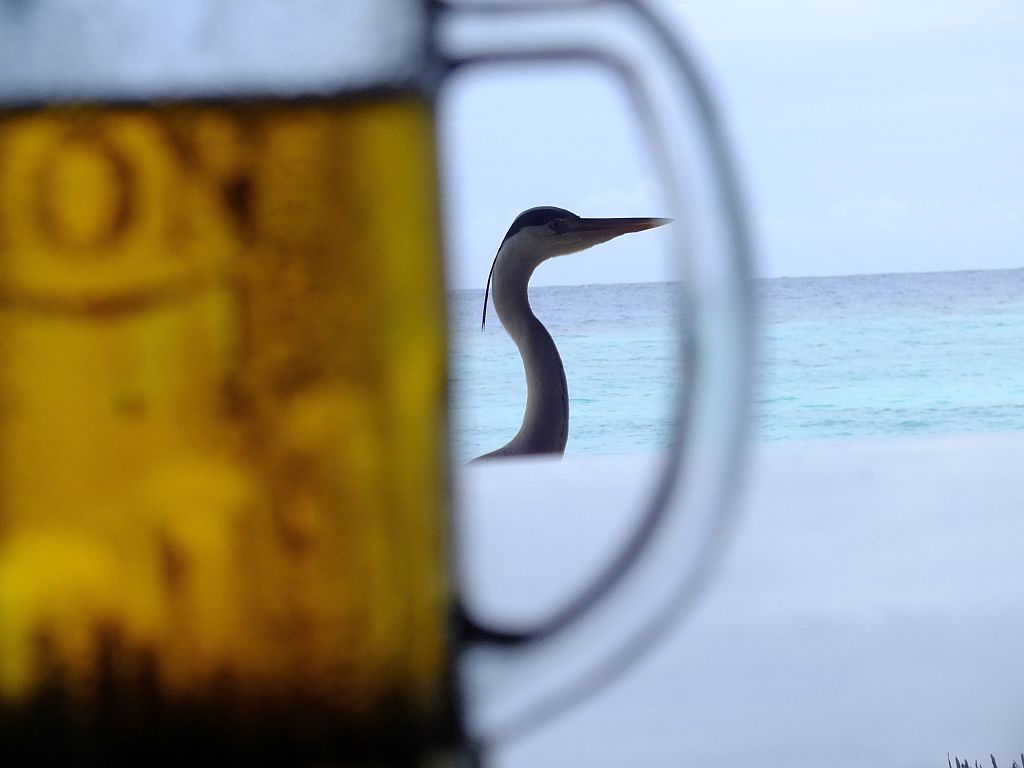 bier_mit_henkel.jpg