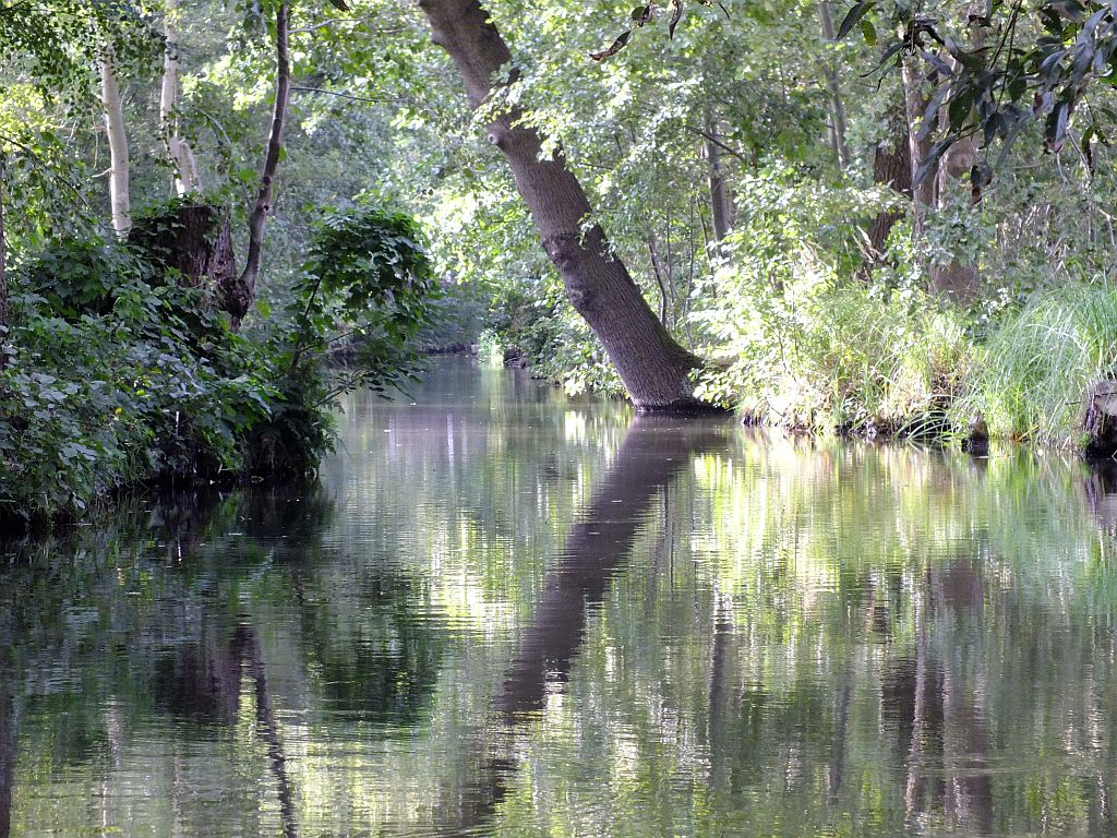 spreewald.jpg