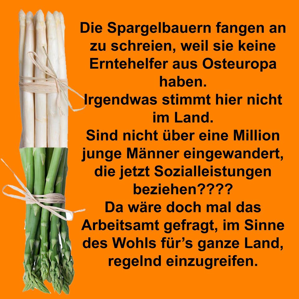 spargel.jpg