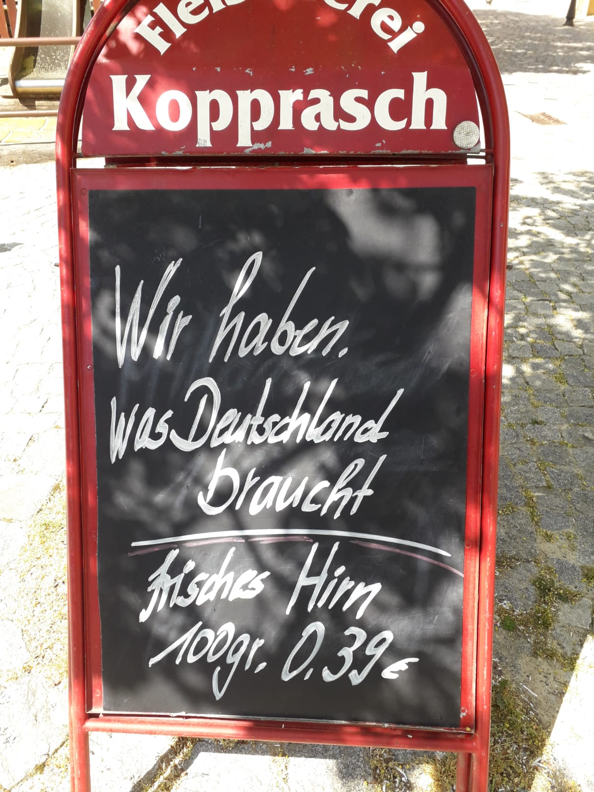hirn.jpg