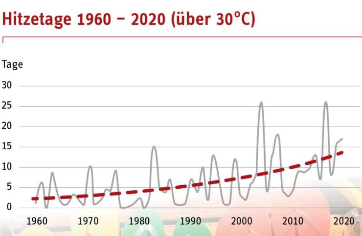 trend.jpg