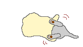katze-0067.gif