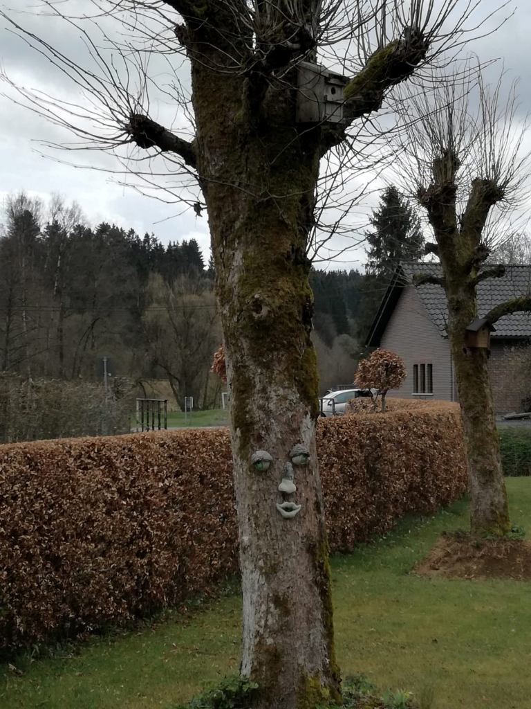 baum_mit_gesicht.jpg