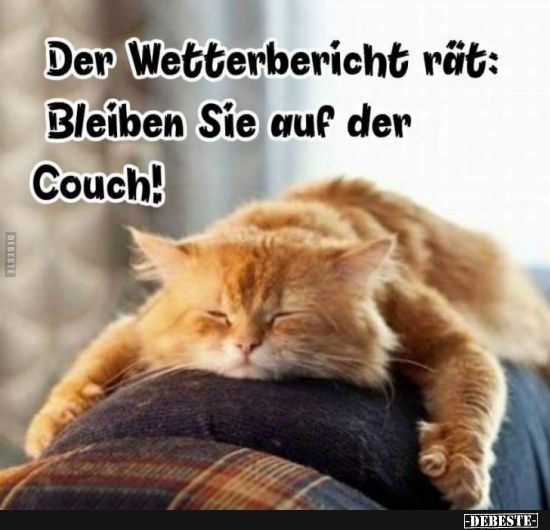 moin_5.jpg