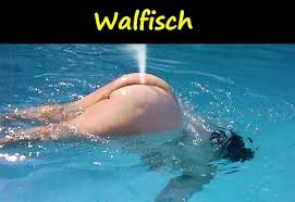 images2wfyapws.jpg