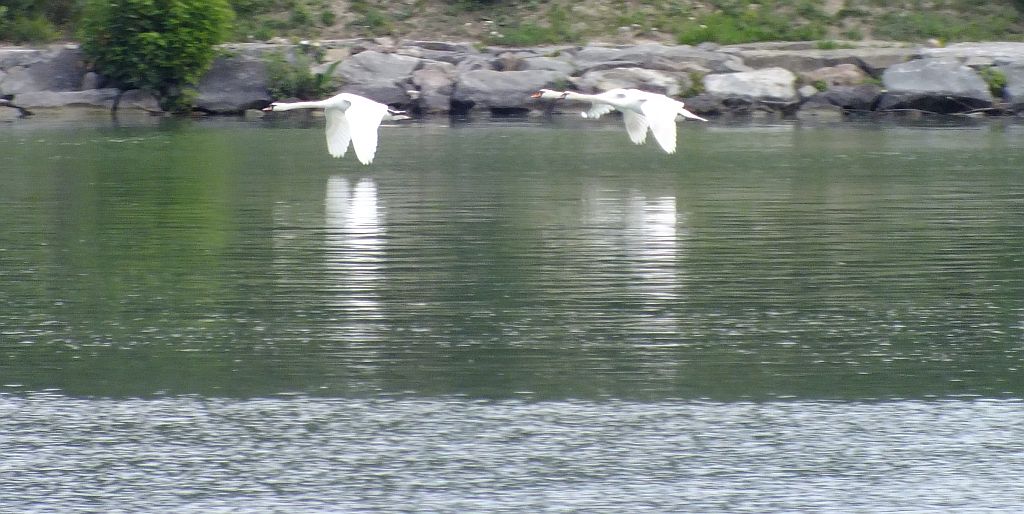 abflug01.jpg