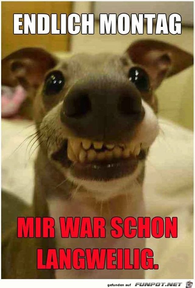 endlich_montag_(002).jpg