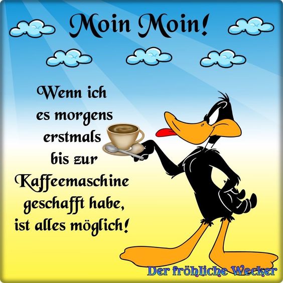 moin_moin.jpg