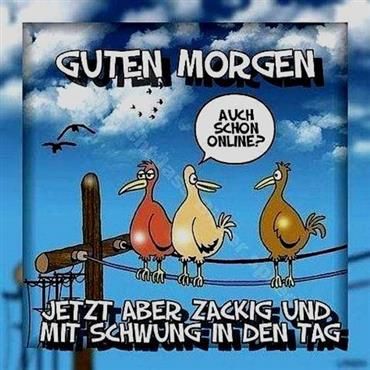 zackig_moin.jpg