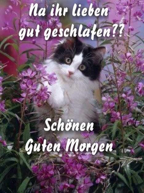 moin_9.jpg
