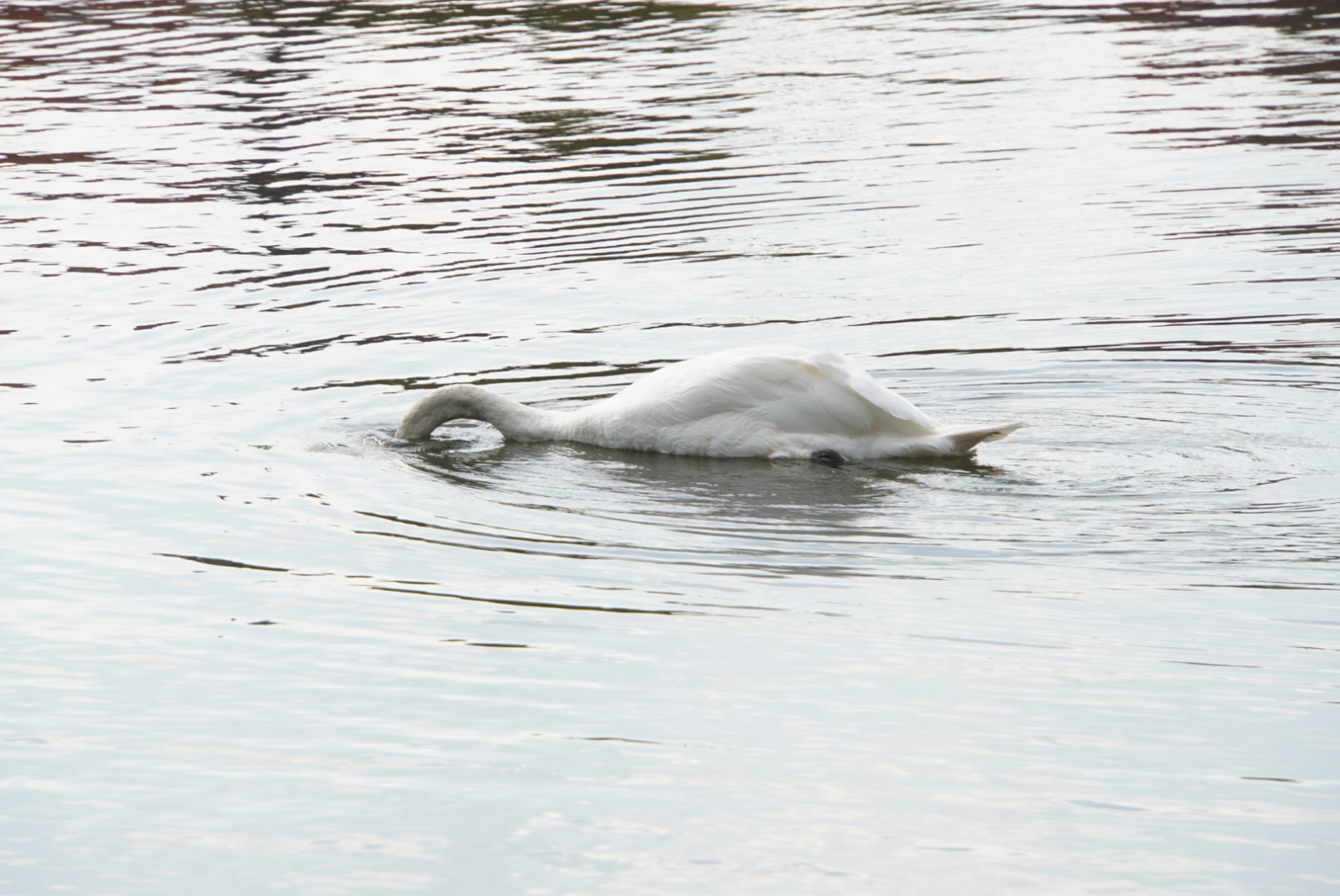 k__pfchen_unterscheiden_wasser.jpg