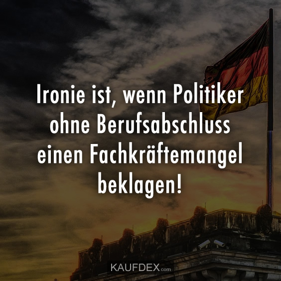 ironie-ist-wenn-politiker-lustige-sprueche.jpg