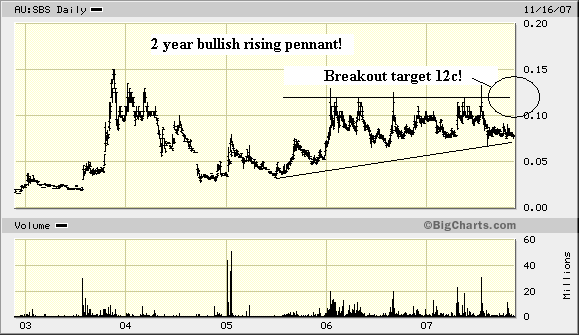 sbs2yrbullpennant.gif