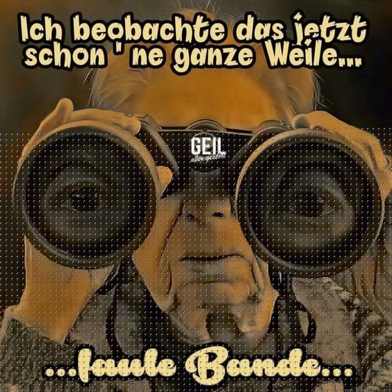 beobachter_faule_bande.jpg