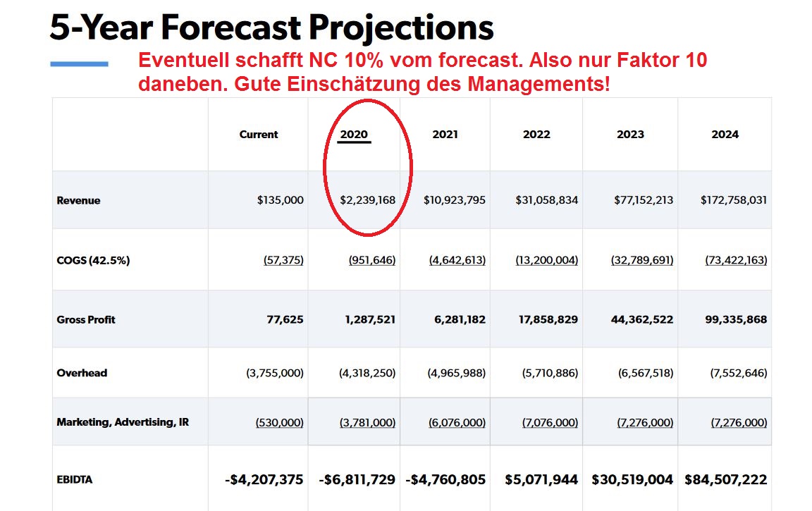 nc_investor_deck_2019_5_years_forecastk.jpg