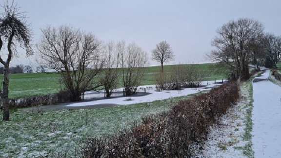 winterspaziergang.jpg