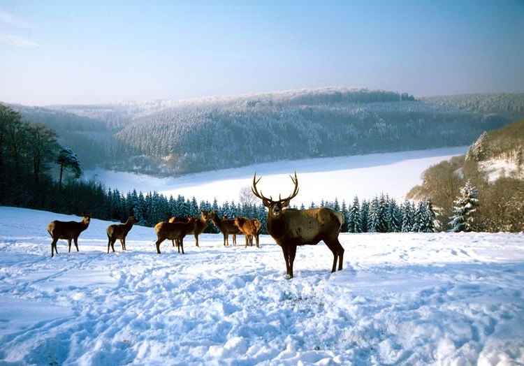 hellental_im_schnee.jpg