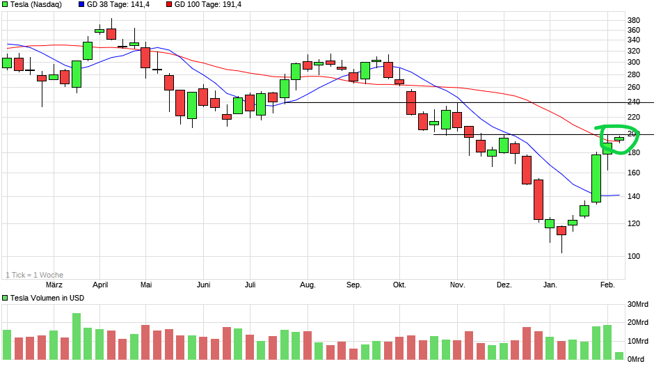 chart_year_tesla.png