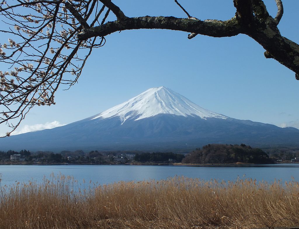 fuji-san.jpg