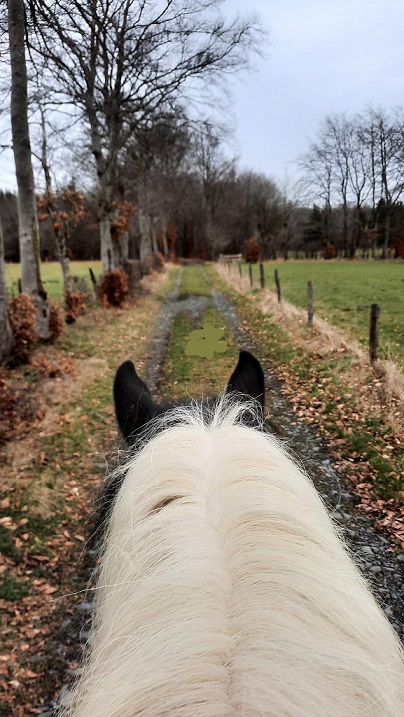 auf_dem_pferd.jpg