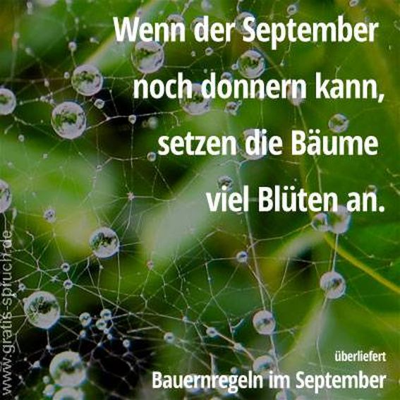 sprueche-septemberdonnernseptember.jpg