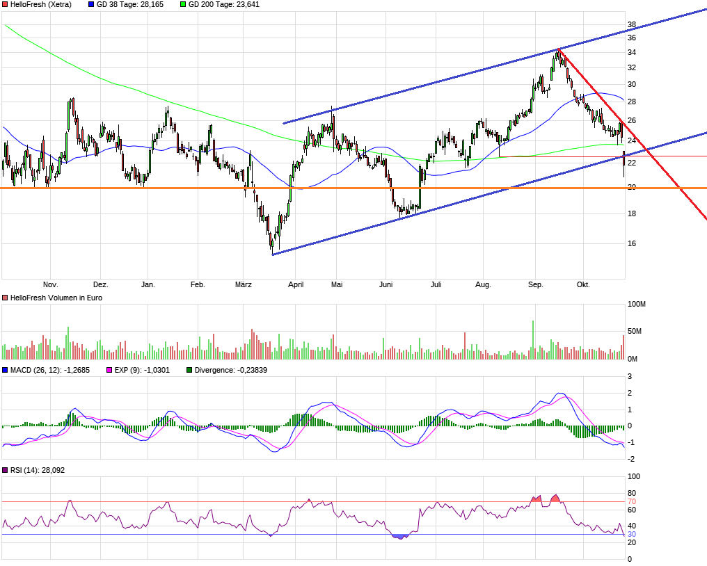 chart_year_hellofresher.png