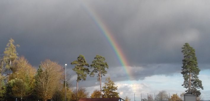 20231111_152530regenbogen.jpg