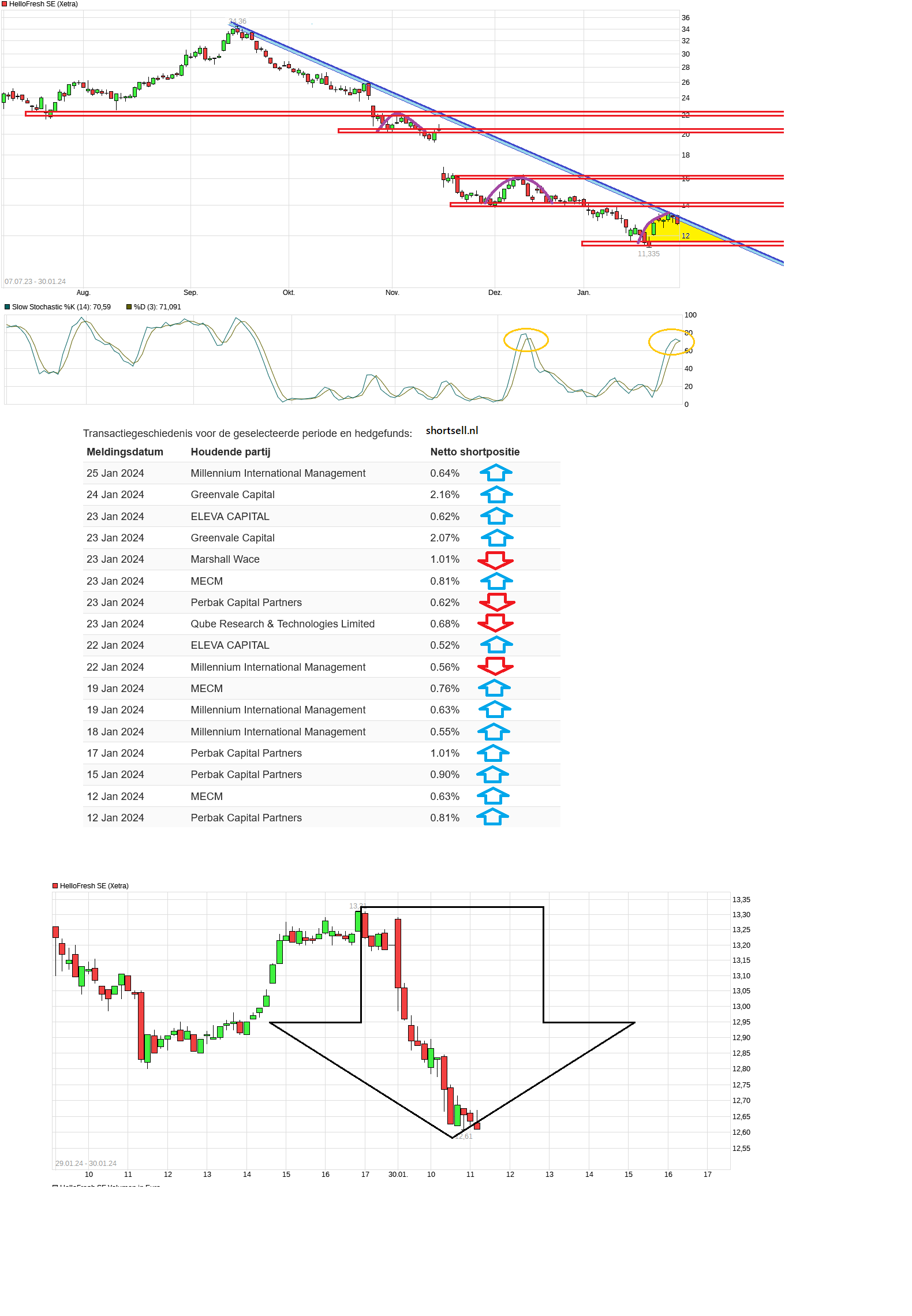 chart_free_hellofreshse.png