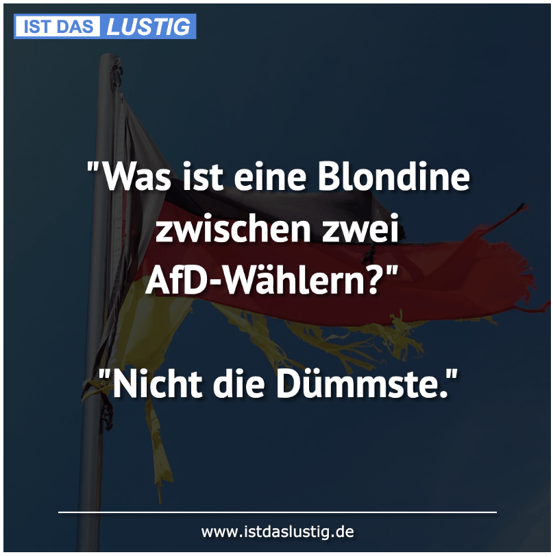 blondine_zwischen_afd-w__hlern.png