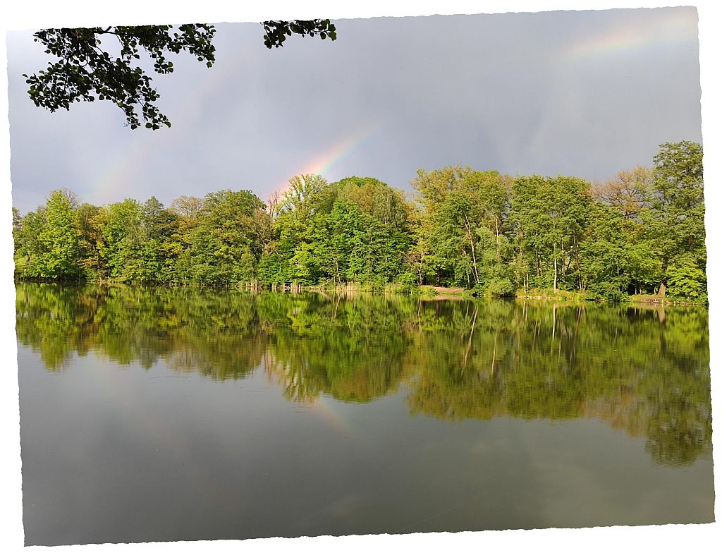 brettm__hlenteich_regenbogen_01_klein.jpg