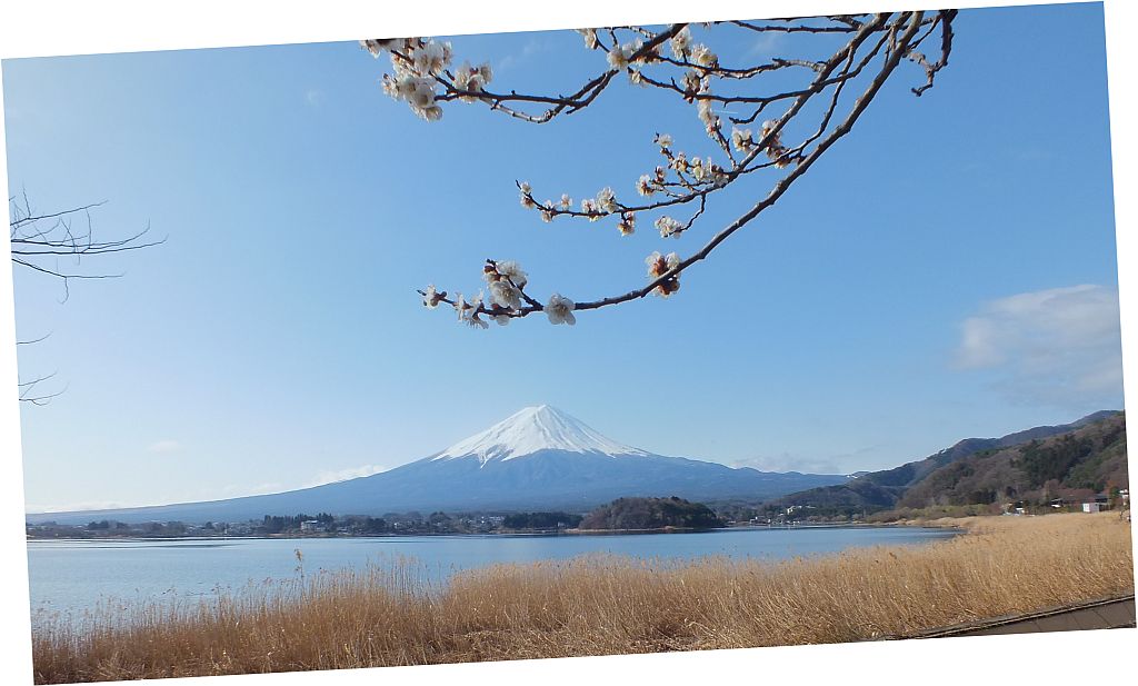 fujisan02.jpg