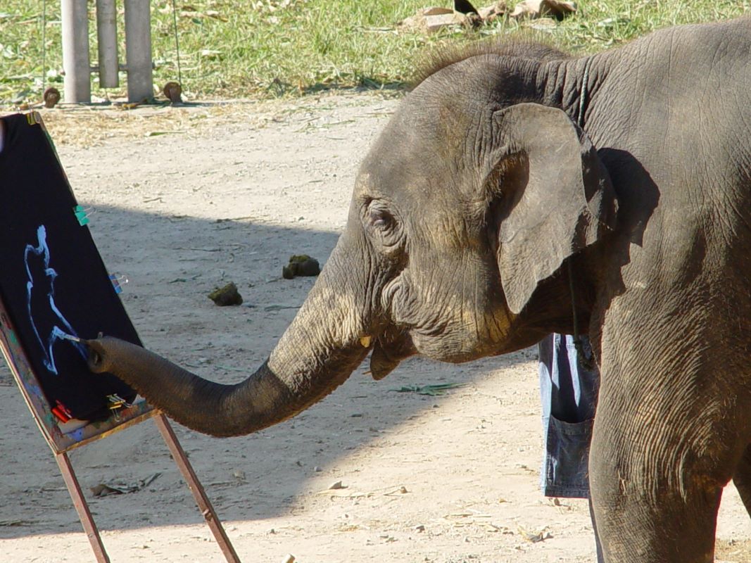 elefant_zeichnet.jpg