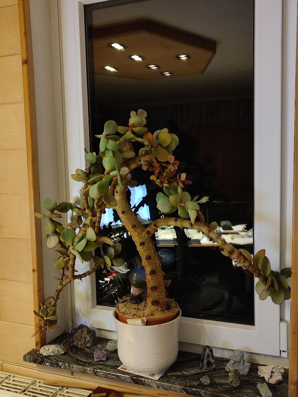 fenster.jpg
