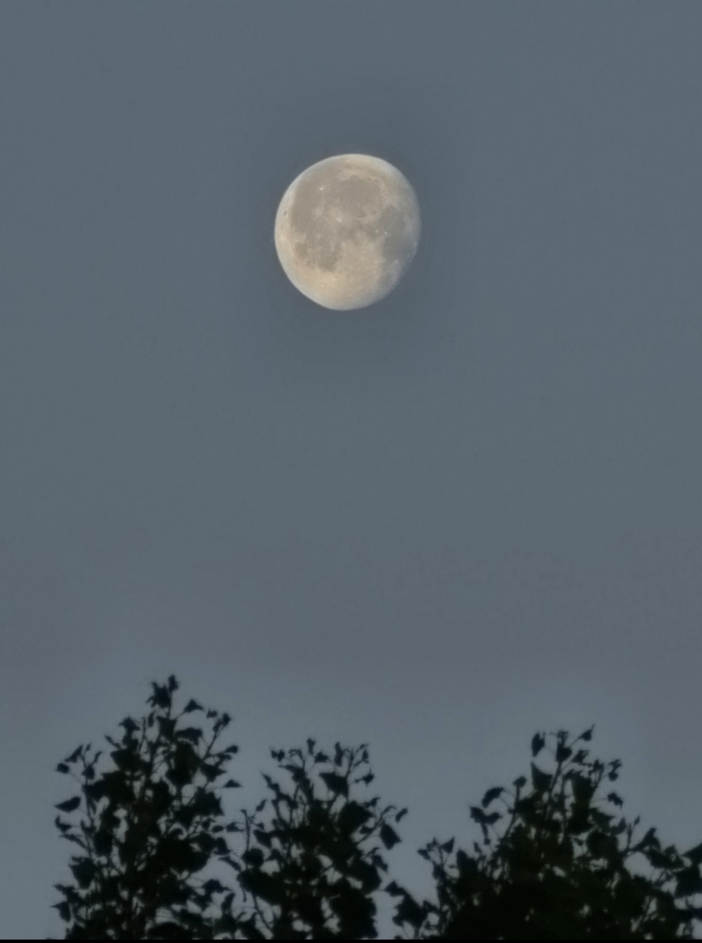 mond_14.jpg