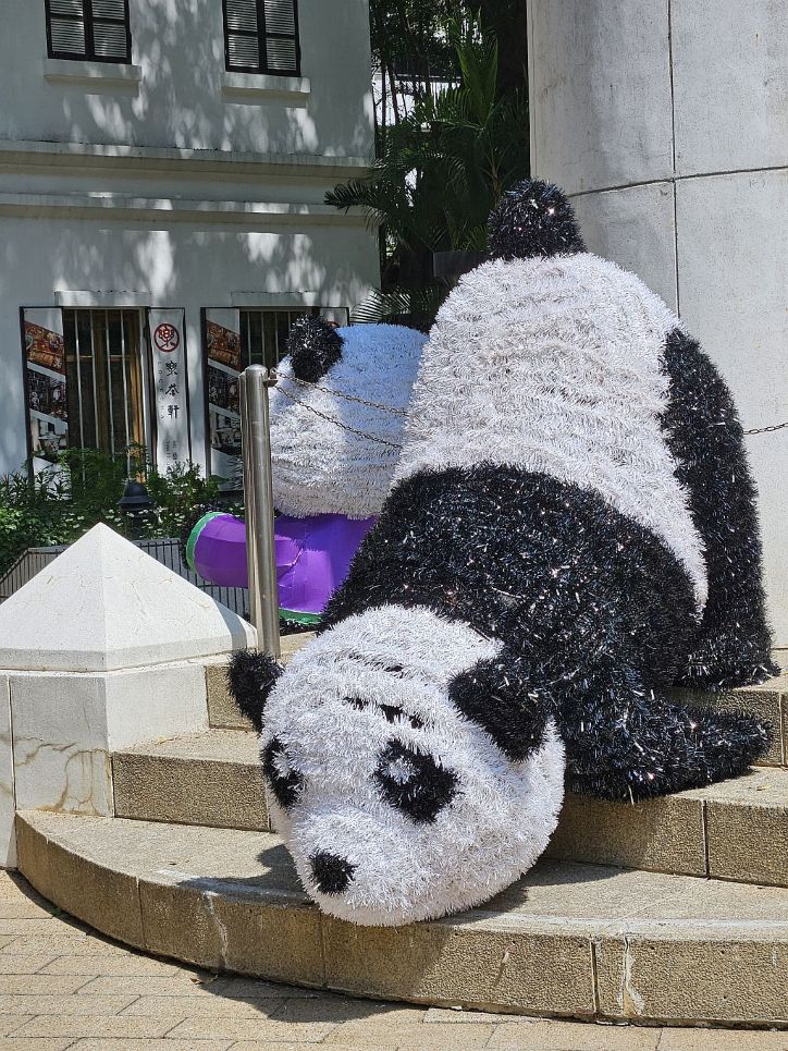 panda-purzelt.jpg