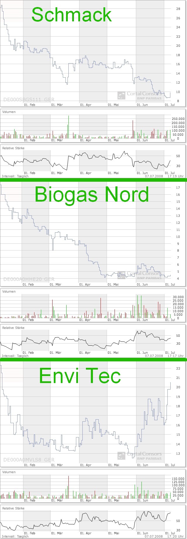 080707_biogas_6_monate_charts.jpg