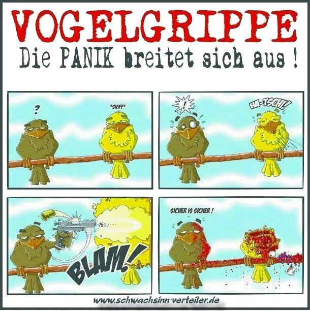 vogelgrippe2cp_1.jpg