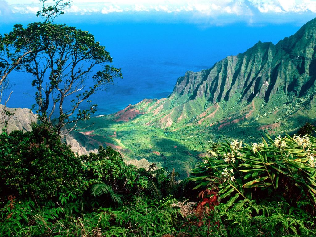 kalalau_valley__kauai__hawaii_-....jpg