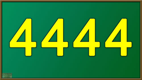 4444.jpg